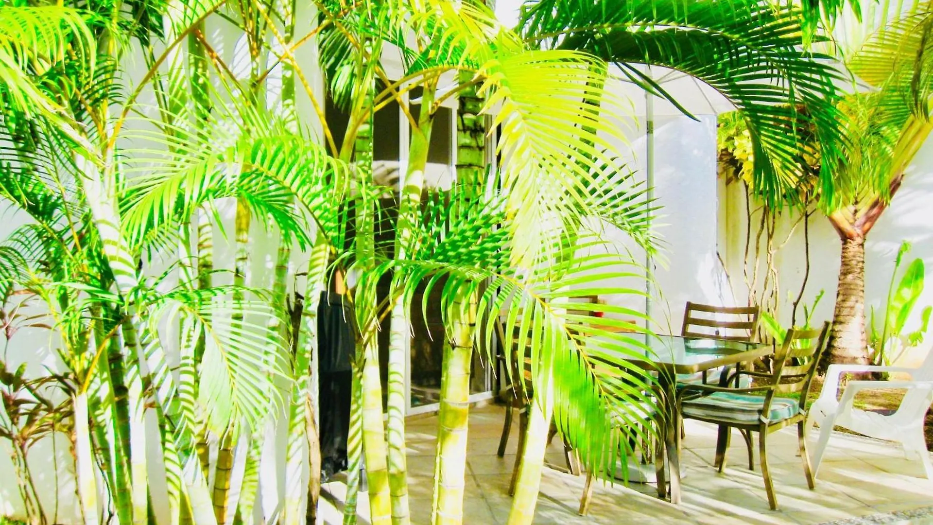Guest house Deluxe Family Room E8 Dolce Vita Caribe B&B Playa del Carmen